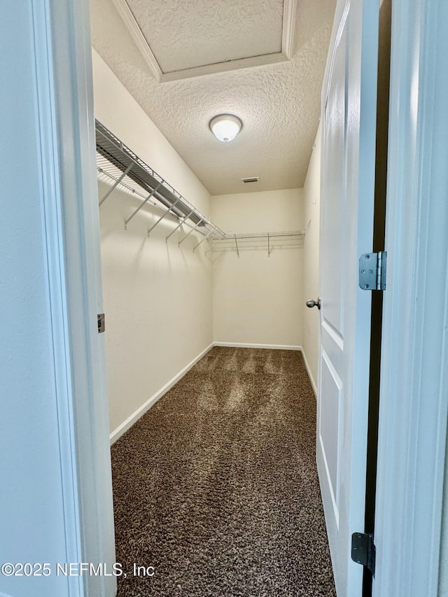 walk in closet with attic access and carpet floors