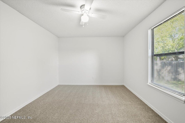 8215 Sailmaker Ln, Jacksonville, FL 32210 - photo 16