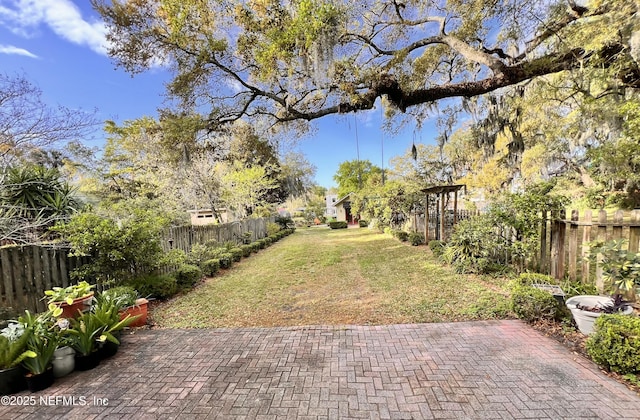 view of yard with a fenced backyard and a patio area