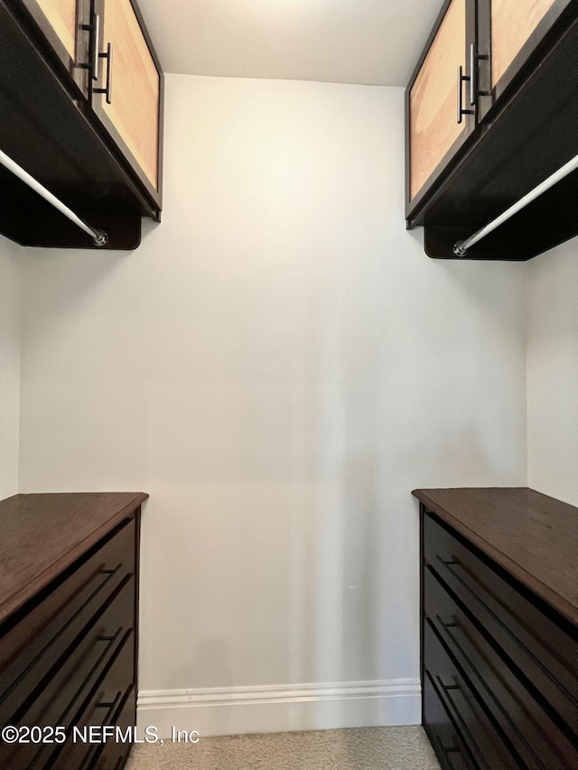 view of walk in closet