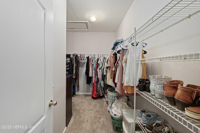 walk in closet with carpet flooring