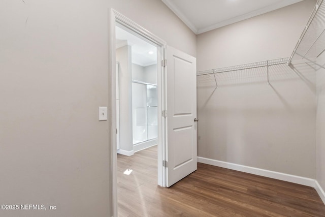 2939 Fitzgerald St, Jacksonville, FL 32254 - walk in closet featuring wood finished floors