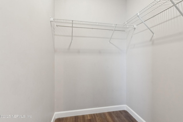2939 Fitzgerald St, Jacksonville, FL 32254 - spacious closet with dark wood-style flooring