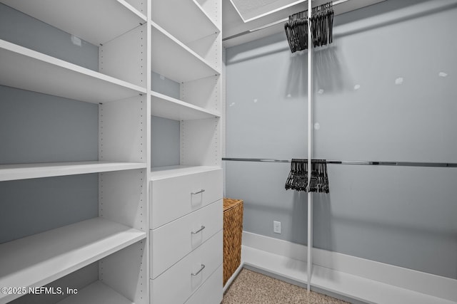 view of walk in closet
