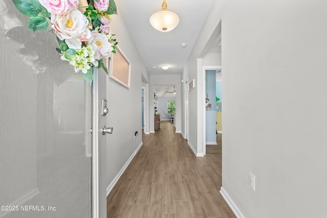 208 Seville Pkwy, Saint Augustine, FL 32086 - corridor with baseboards and wood finished floors