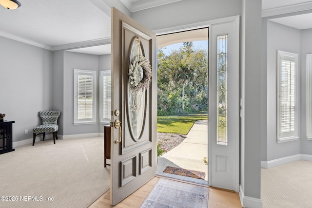 5698 Grand Cayman Rd, Jacksonville, FL 32226 - entrance foyer featuring plenty of natural light, light colored carpet, and baseboards