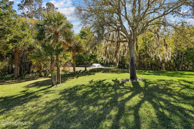 5698 Grand Cayman Rd, Jacksonville, FL 32226 - view of yard