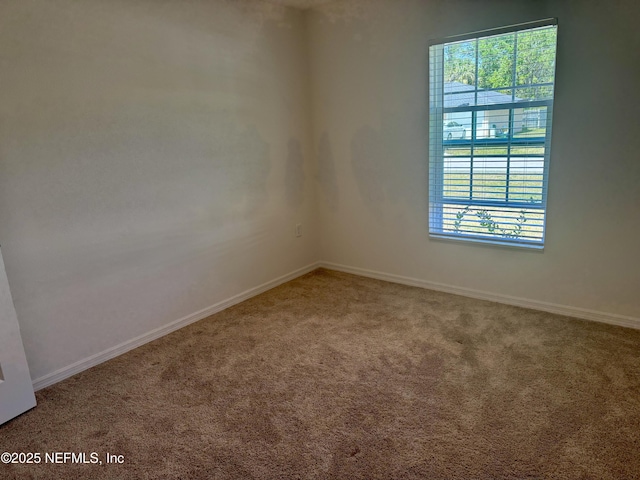 19 Slipper Flower Path E, Palm Coast, FL 32164 - carpeted empty room with baseboards and a wealth of natural light