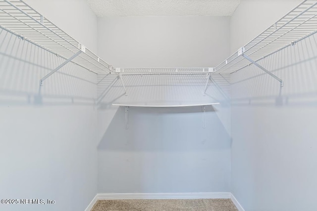 3517 Peeler Rd Unit 6, Jacksonville, FL 32277 - photo 25