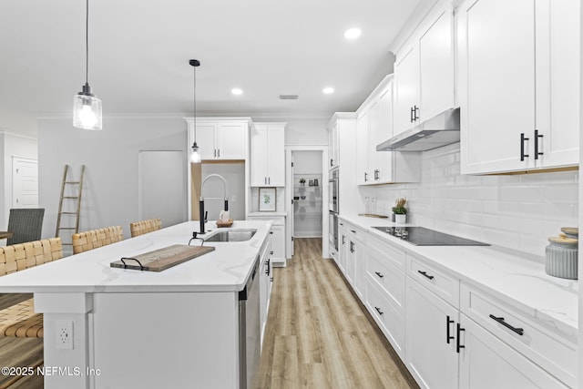 2013 Wedge Ct, Green Cove Springs, FL 32043 - kitchen featuring under cabinet range hood, a sink, ornamental molding, stainless steel appliances, and light wood-type flooring