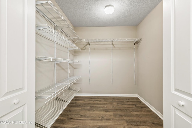 2109 Softwind Ct, Jacksonville, FL 32224 - photo 33