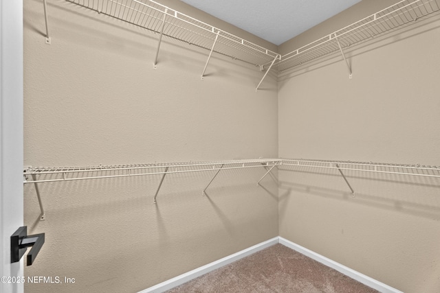 169 Asbury Hill Ct, Jacksonville, FL 32218 - photo 19