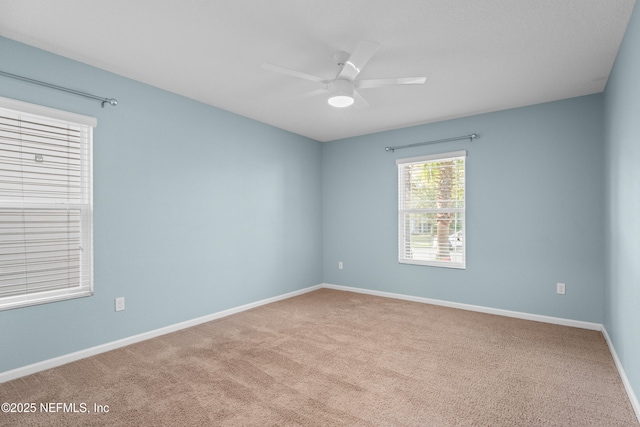 169 Asbury Hill Ct, Jacksonville, FL 32218 - photo 21