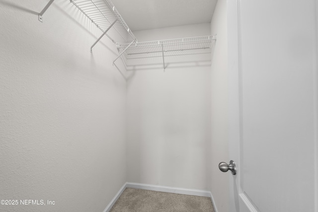 walk in closet featuring light carpet