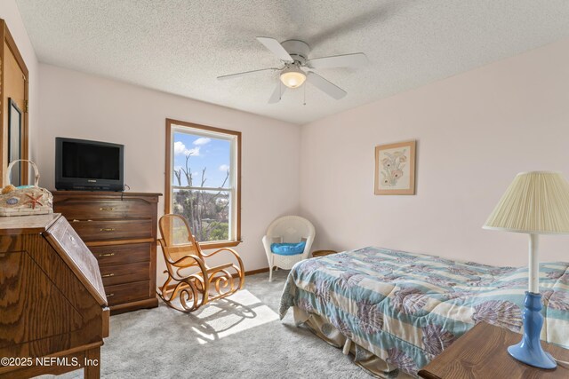 27 Flagler Dr, Palm Coast, FL 32137 - bedroom with carpet, a ceiling fan, and a textured ceiling