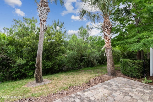 23 Pindo Palm Dr, Ponte Vedra, FL 32081 - photo 43