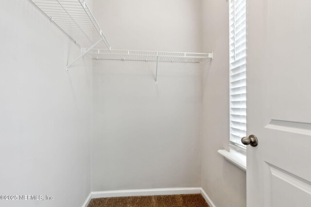 23 Pindo Palm Dr, Ponte Vedra, FL 32081 - photo 32