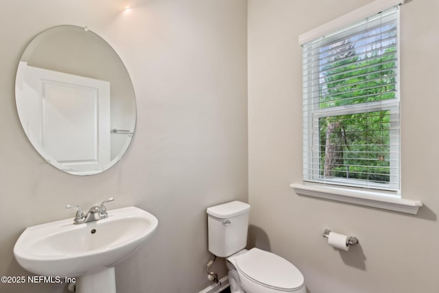 23 Pindo Palm Dr, Ponte Vedra, FL 32081 - photo 36