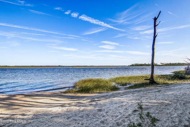 23 Pindo Palm Dr, Ponte Vedra, FL 32081 - photo 60
