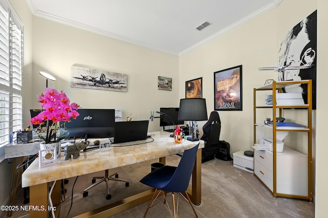 carpeted office with ornamental molding and plenty of natural light