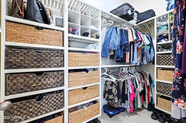 spacious closet featuring carpet