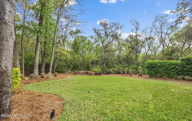 3739 Valverde Cir, Jacksonville, FL 32224 - photo 31