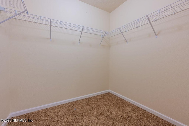 walk in closet with carpet