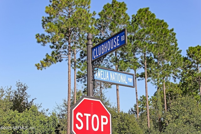 95150 Starling Ct, Fernandina Beach, FL 32034 - exterior view