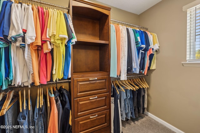 walk in closet featuring carpet flooring