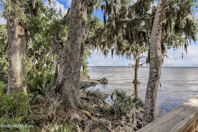 water view