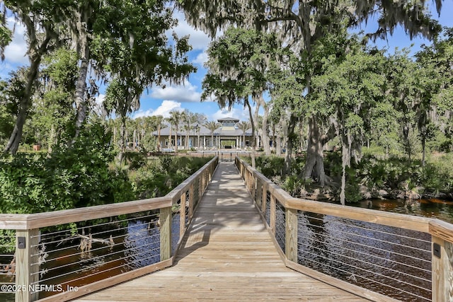 dock area with a water view