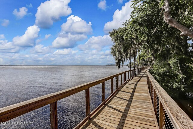 dock area with a water view