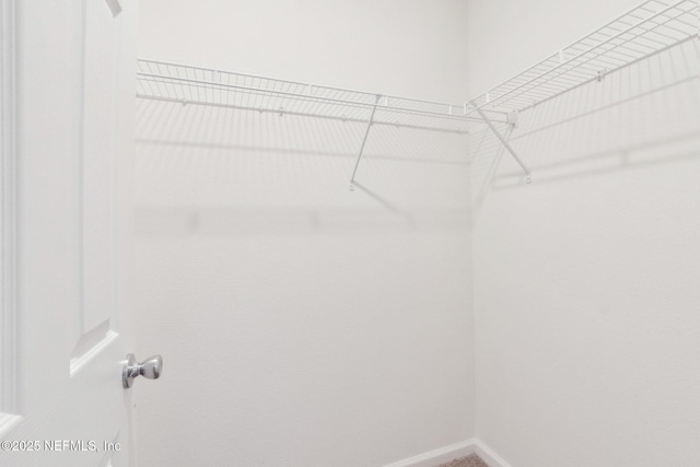 7686 Merchants Way, Jacksonville, FL 32222 - view of walk in closet