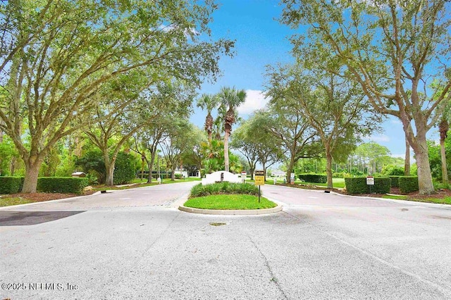 784 Crestwood Dr, Saint Augustine, FL 32086 - view of street with curbs