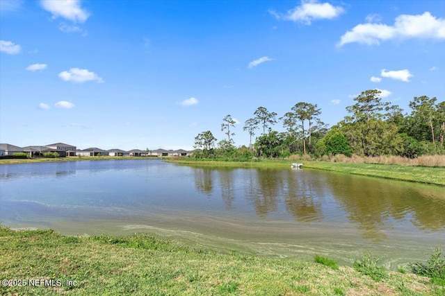 2899 Crossfield Dr, Green Cove Springs, FL 32043 - photo 27
