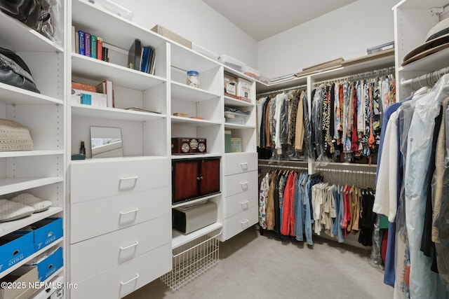 1193 Queens Harbor Blvd, Jacksonville, FL 32225 - walk in closet with carpet floors