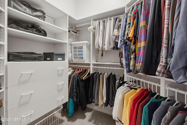 1193 Queens Harbor Blvd, Jacksonville, FL 32225 - walk in closet with carpet floors