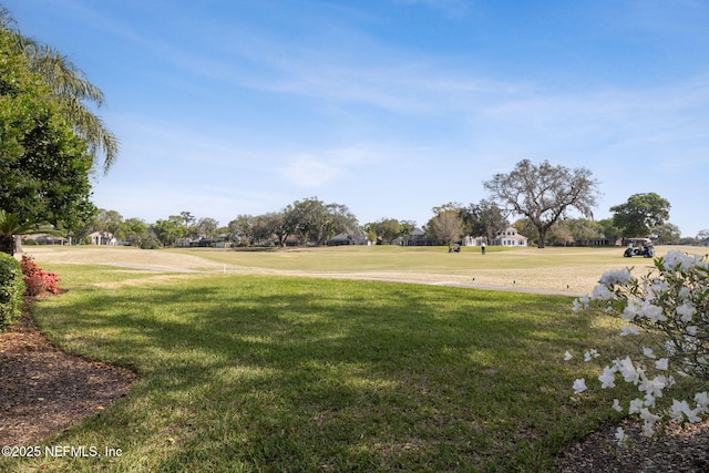 1193 Queens Harbor Blvd, Jacksonville, FL 32225 - view of yard