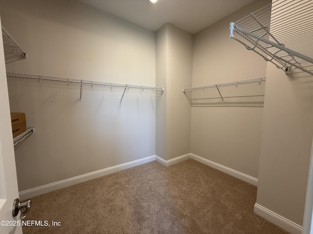 294 Lamego Ln, Saint Augustine, FL 32095 - spacious closet featuring carpet floors