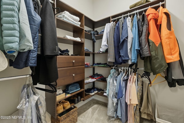 view of walk in closet