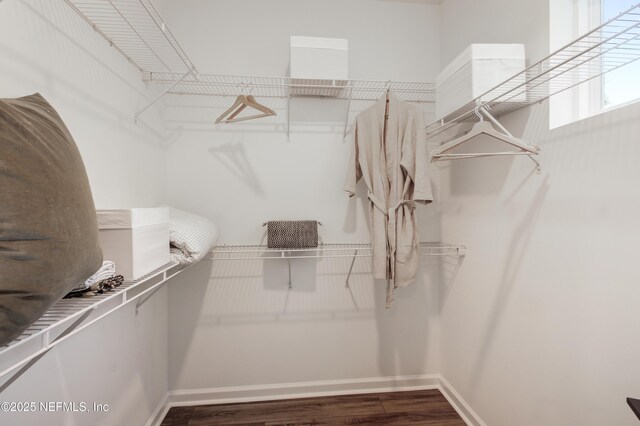 spacious closet with wood finished floors