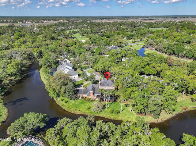 6260 Highlands Ct, Ponte Vedra Beach, FL 32082 - bird's eye view of a large body of water and a tree filled landscape