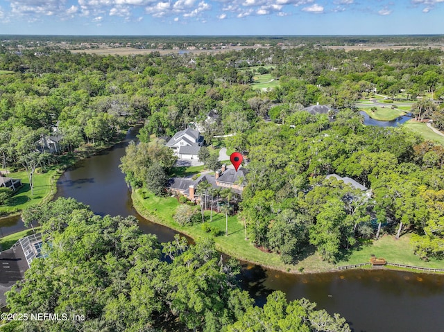 6260 Highlands Ct, Ponte Vedra Beach, FL 32082 - aerial view of property and surrounding area featuring a nearby body of water and a tree filled landscape