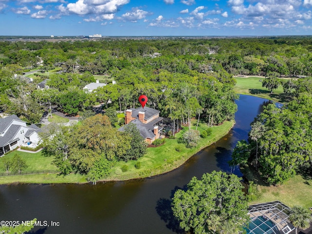 6260 Highlands Ct, Ponte Vedra Beach, FL 32082 - view of property location featuring a large body of water and a forest