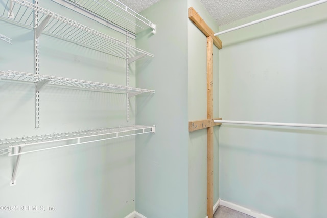 3387 Guernsey Ct, Jacksonville, FL 32226 - view of walk in closet