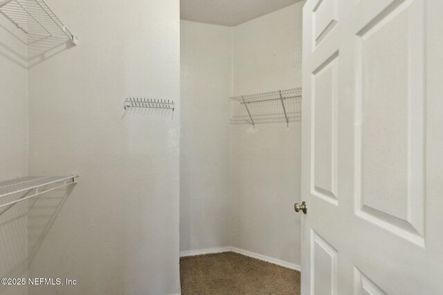 walk in closet featuring carpet