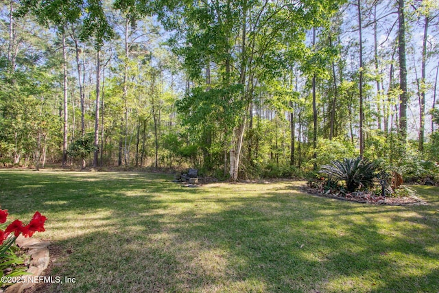 745 Austin Pl, Saint Johns, FL 32259 - view of green lawn featuring a wooded view