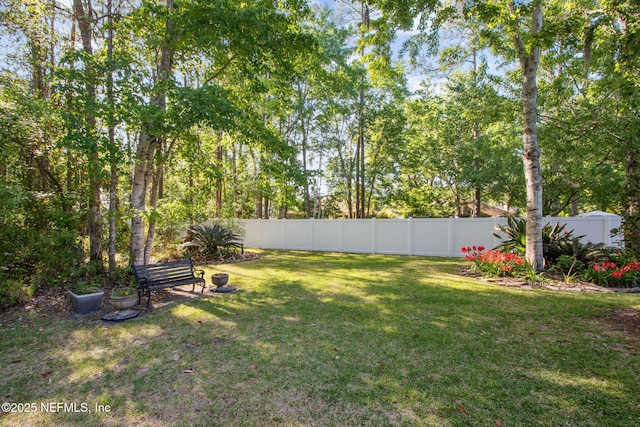 745 Austin Pl, Saint Johns, FL 32259 - view of yard