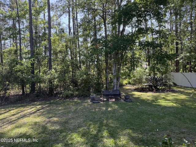 745 Austin Pl, Saint Johns, FL 32259 - view of yard