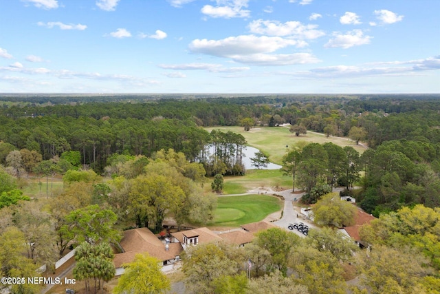 745 Austin Pl, Saint Johns, FL 32259 - drone / aerial view of a forest, a nearby body of water, and a golf course